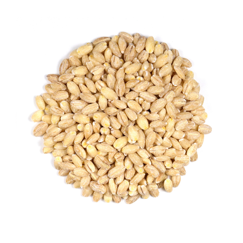 Pearl Barley