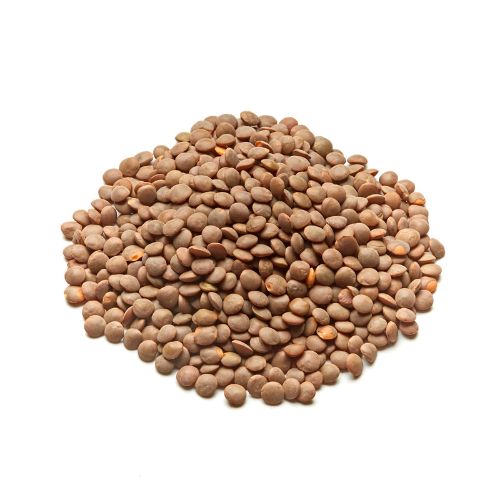 Brown Lentils (10kg)