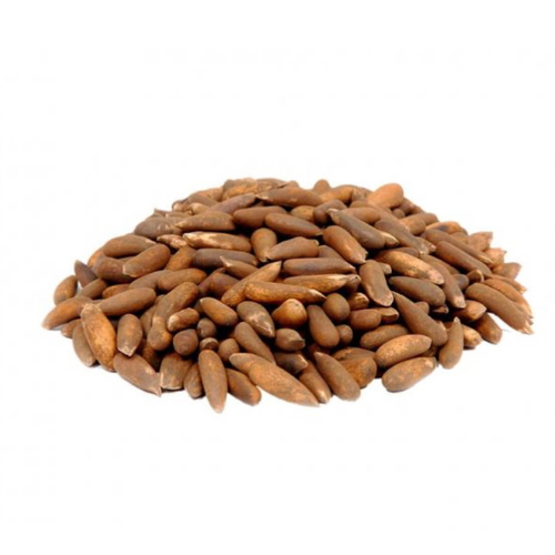 Chilgoza Pine Nuts - with Shell (250g)