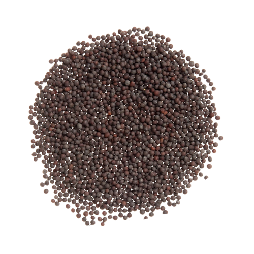 Mustard Seeds (5kg)