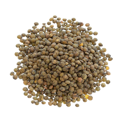 Puy Lentils (10kg)