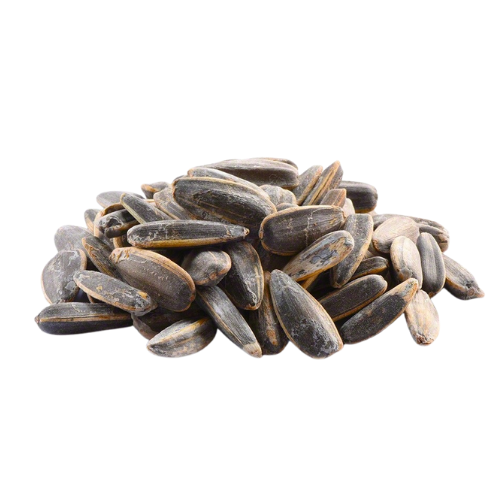 Roasted Salted Sunflower Seeds - With Shell (10kg)