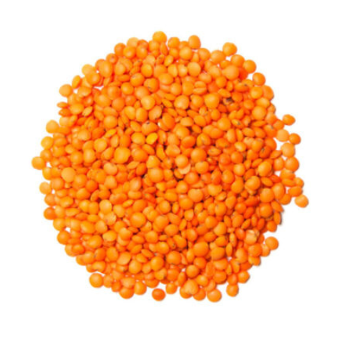 Red Lentils